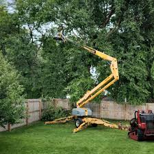 Best Commercial Tree Services  in Eagleton Village, TN