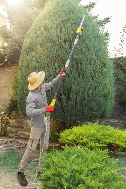 Best Firewood Processing and Delivery  in Eagleton Village, TN